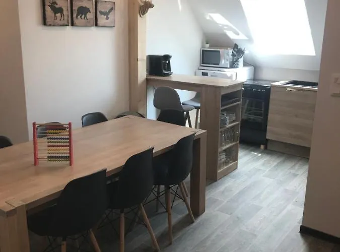 Apartmán Du Parc *